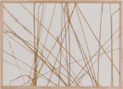 herman_de_vries_artwork