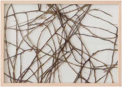 herman_de_vries_artwork