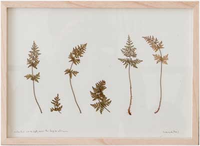 herman_de_vries_artwork