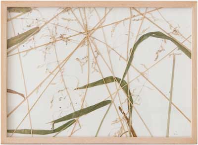 herman_de_vries_artwork