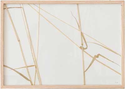 herman_de_vries_artwork