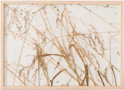herman_de_vries_artwork