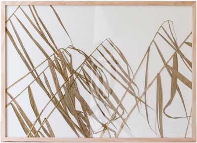 herman_de_vries_artwork